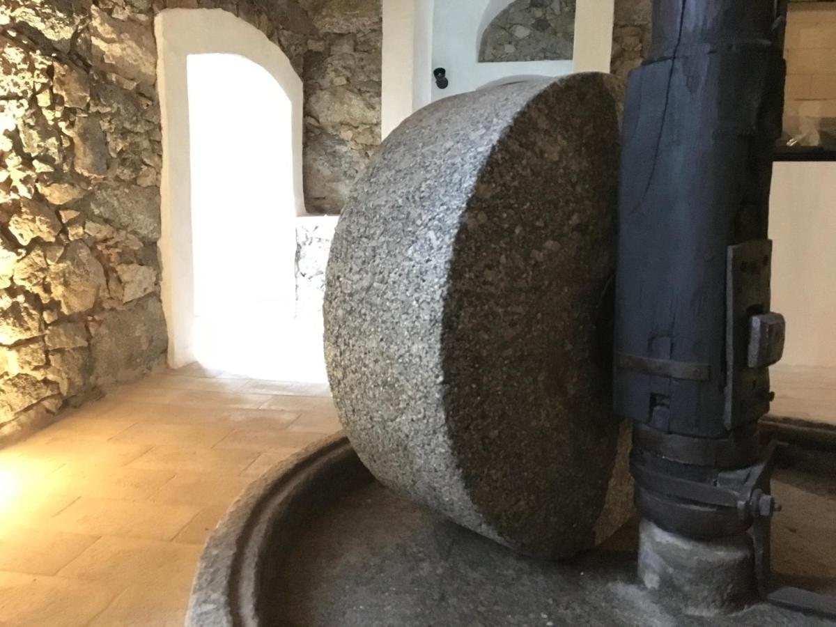 Chambres D'Hotes - Mulino Nannare Ville-di-Paraso Eksteriør billede